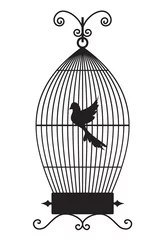 Crédence de cuisine en verre imprimé Oiseaux en cages Cage à oiseaux