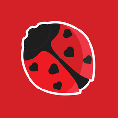 Ladybird with hearts on wings Valentine's day postcard