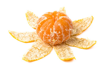 fruits on the white background