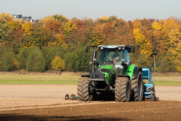 Fototapeta premium Wintersaat