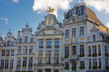 Fototapeta premium Bruxelles Grand Place 2