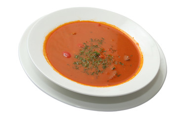 fresh soup of gaspacho