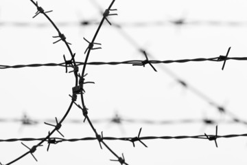 filo spinato Aleppo Siria