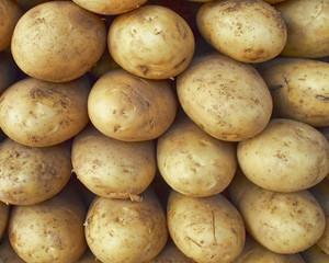  raw potatoes, natural background
