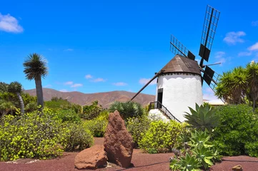 Poster windmill in Antigua, Fuerteventura, Canary Islands, Spain © nito