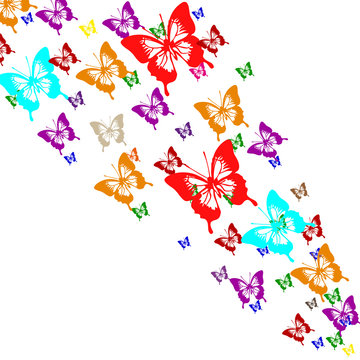 Butterflies