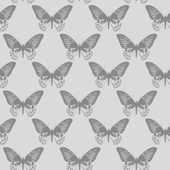 Seamless textur,butterflies