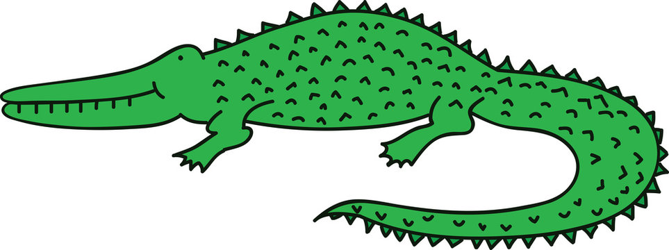 Funny crocodile vector illustration