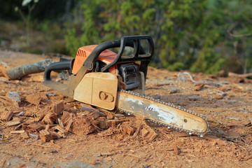 chainsaw and wood chips