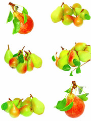 Collection of pears and green leaf. Isolated