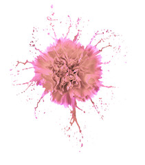 carnation with splashes