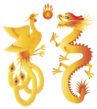 Dragon and Phoenix Chinese Symbols Illustration