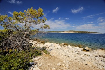 Fototapeta na wymiar Brijuni National Park (Croatia)