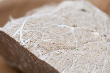 Close-up of halva made of sunflower seeds and nuts