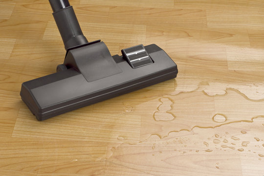 vacuum cleaner brush cleaning water on the floor