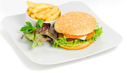 Burger and fries