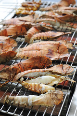 Grilled fresh Prawn on  Barbecue grills