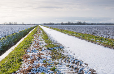 Dutch countryside in winter