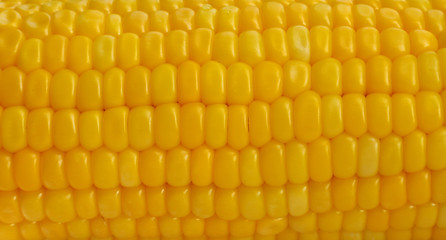 Fresh corn
