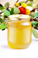 arbutus honey