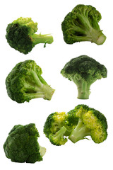 Broccoli isolated with clipping path on white background
