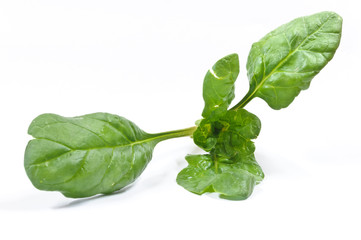 Spinaci - Spinach