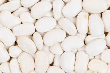 white lima Bean background