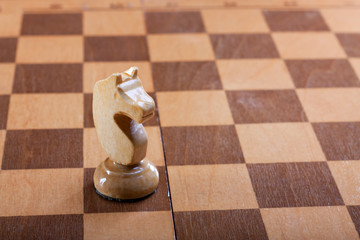 knight chess piece on a Board