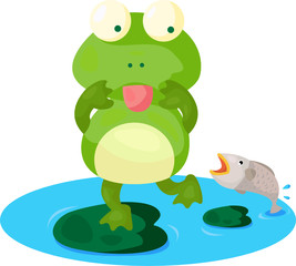 cute  frog