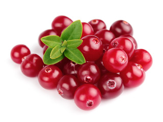 Sweet cranberries with leafs