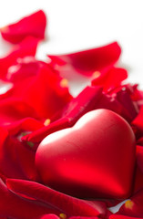 Fototapeta na wymiar Czerwone płatki róż z serca