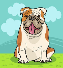 english bulldog dog cartoon illustration