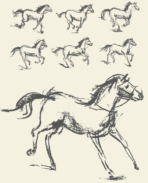 Phase of the movement. Horse. Set. Hand-drawn