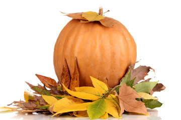 Naklejka na ściany i meble Ripe orange pumpkin yellow autumn leaves isolated on white