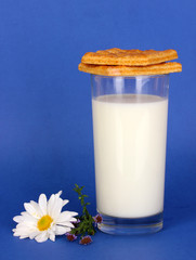 Glass of fresh new milk with cookies on blue background