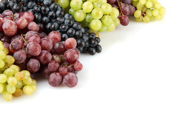 assortment of ripe sweet grapes isolated on white.