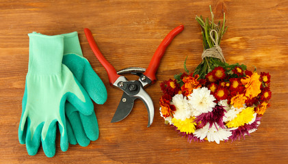 Secateurs with flower isolated on white