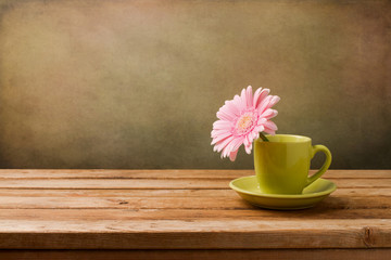 Pink daisy flower in green cup on wooden table
