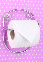 Roll of toilet paper on  holder fixed to wall