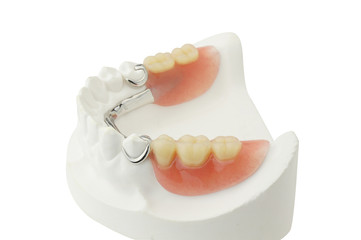Denture  with clipping path on white background