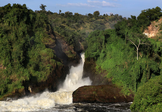 Murchison falls - Uganda