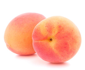 Ripe apricot fruit
