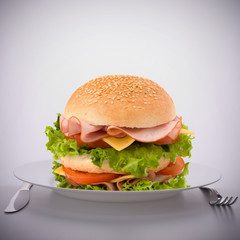 Fast food big sandwich  on plate
