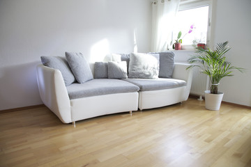 Wohnzimmer mit Holzboden und Sofa