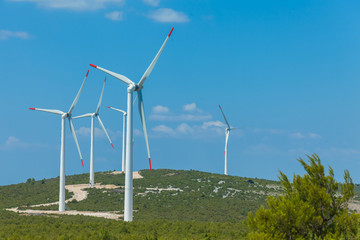 Fototapeta premium Windmill