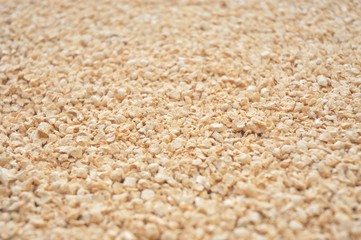 Żwirek do kuwety dla kota © fotonaj