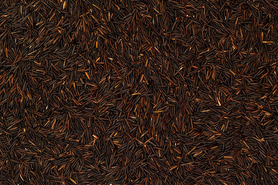 Wild Rice