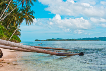 Fototapeta premium Coast of remote tropical island