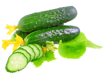 Cutting cucumbers with yellow blossom cluster.