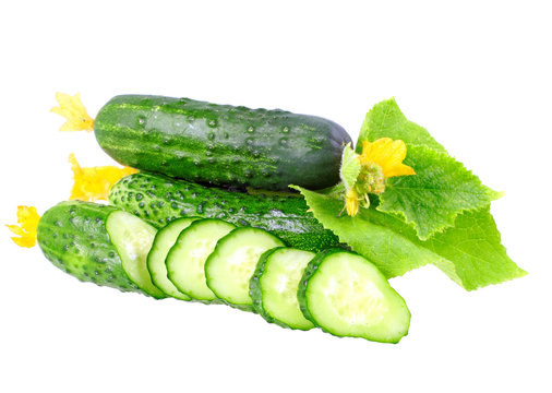 Cutting cucumbers with yellow blossom cluster.